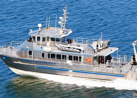 lapeer boat service|total marine technology.